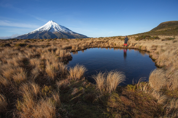 taranaki 1