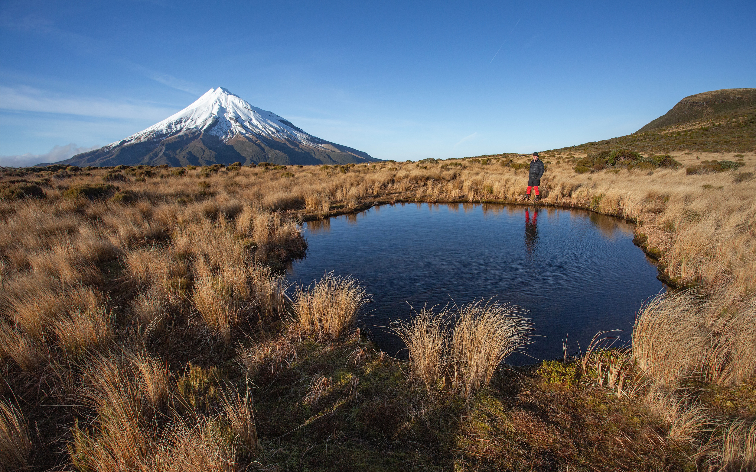 taranaki 1